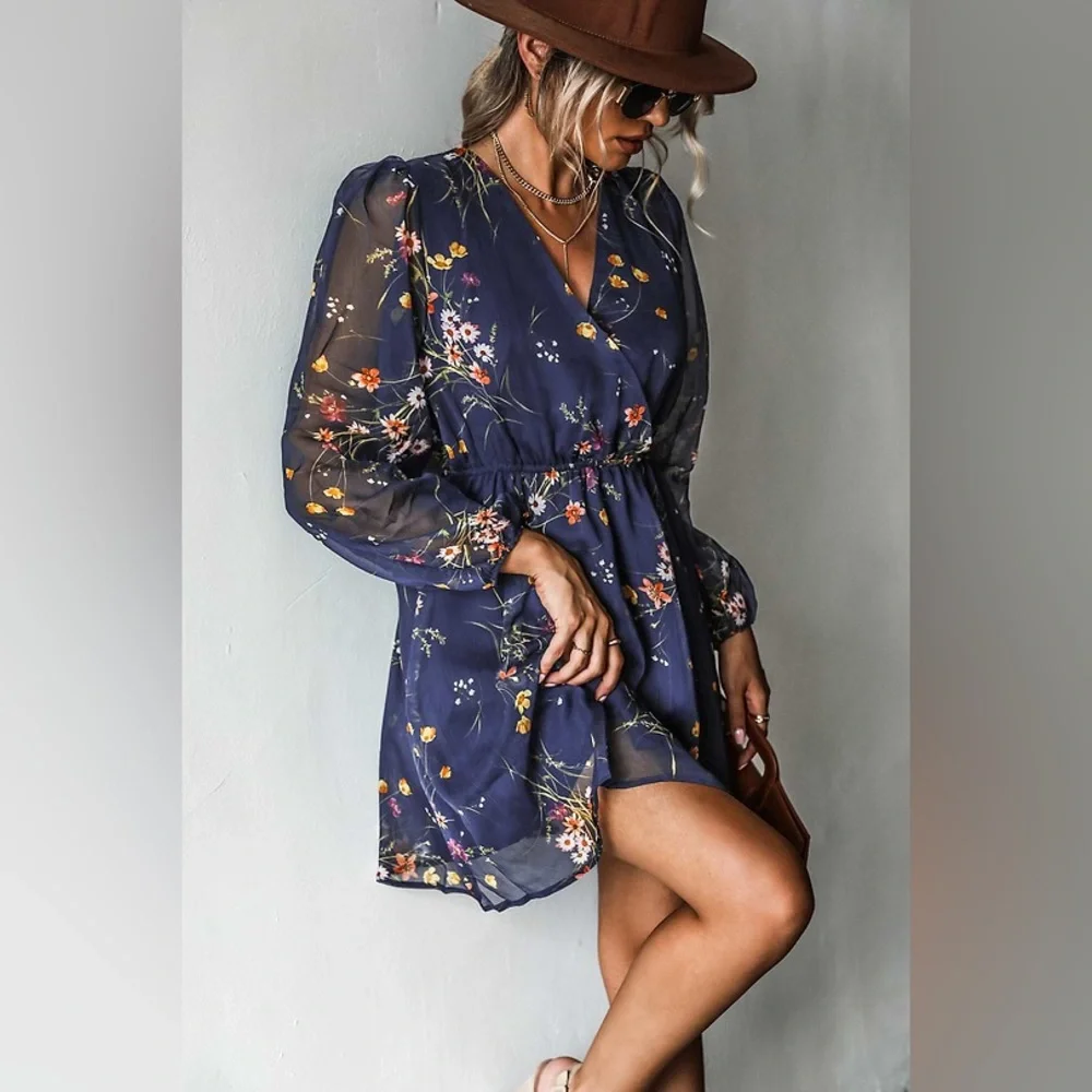 Realm Of Sky Floral Print Chiffon A-Line Mini Dress - Picture 5 of 6
